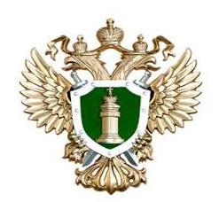 Прием граждан по вопросам прав несовершеннолетних.